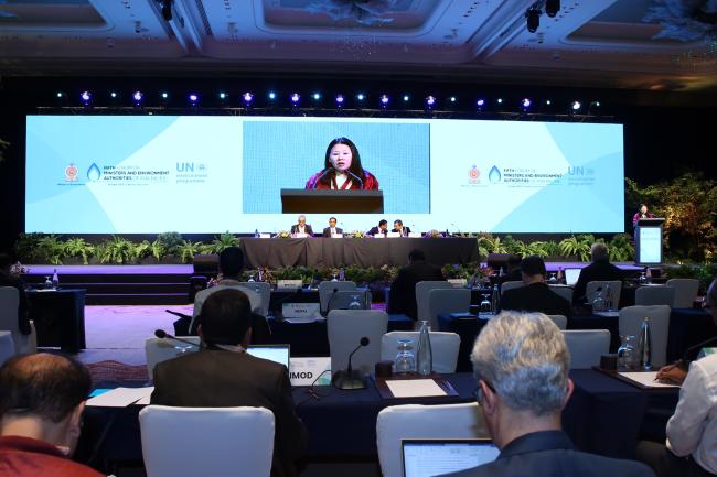 Dechen Tsering, Regional Director and Representative, UNEP-ROAP2 
