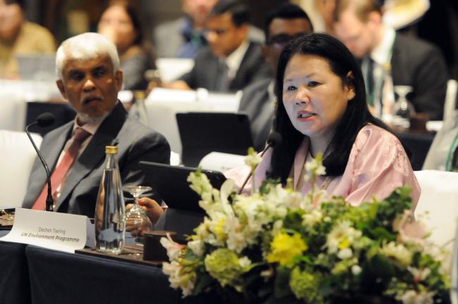 Dechen Tsering, UNEP Regional Director, Asia-Pacific