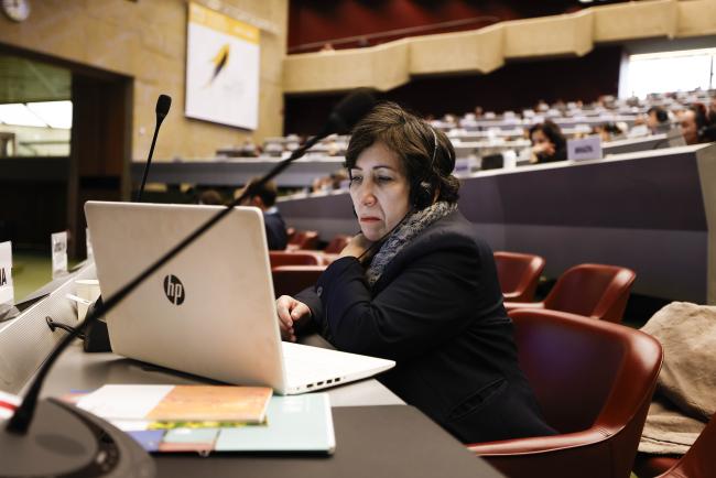 Delegate and laptop- MinamataCOP5 - 31Oct2023 – Photo.jpg
