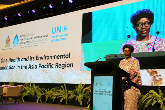 Elizabeth Maruma Mrema, Deputy Executive Director, UNEP at the One Health and its Environmental Dimension in the Asia Pacific Region