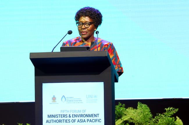 Elizabeth Maruma Mrema, UN Assistant Secretary-General, and Deputy Executive Director, UNEP 