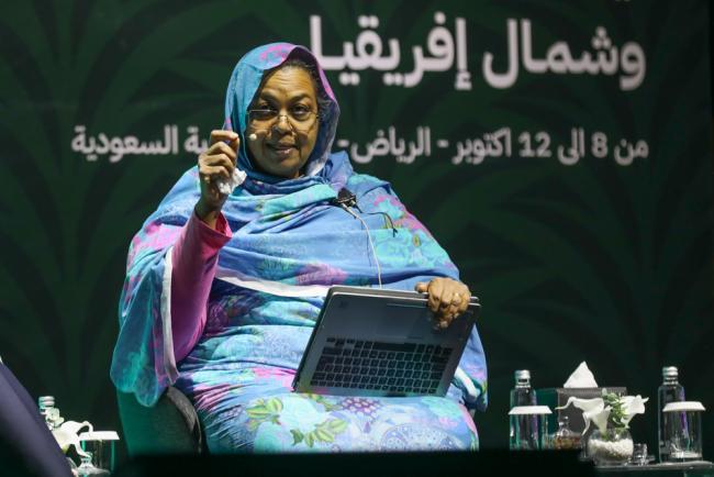 Shahira Wahbi, Chief, Sustainable Development and International Cooperation, League of Arab States
