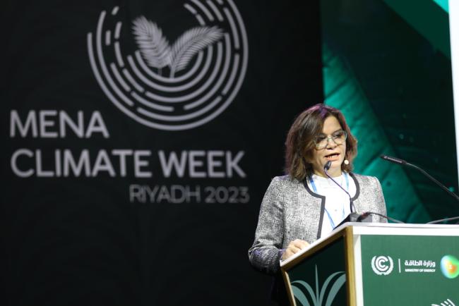 Radia Sedaoui, Chief, Energy Section, ESCWA