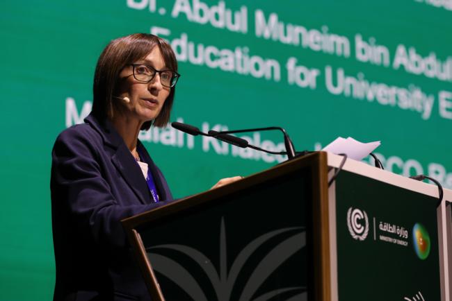Farida Aboudan, UN Educational, Scientific and Cultural Organization (UNESCO)
