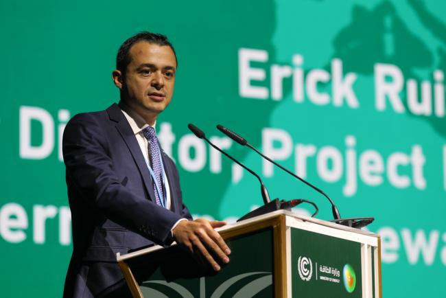 Erick Ruiz Araya, International Renewable Energy Agency (IRENA)