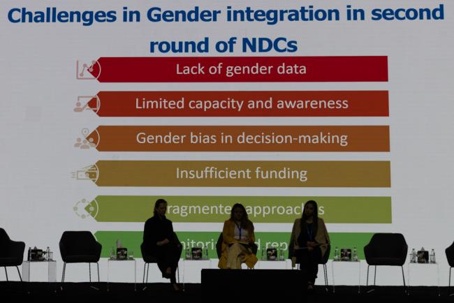 Panelists in track 4 discussed discussed whole-of-society approaches to transformation: non-party stakeholders' role in implementing NDCs in the MENA region