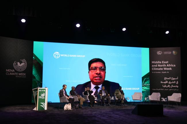 Panelists in track 1 discussed unlocking the potential of carbon markets for emission reductions and removals in supporting the transition to net-zero