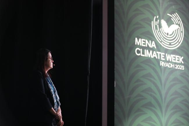 Masako Ueda, Regional Migration, Environment, and Climate Change Specialist, International Organization for Migration (IOM)