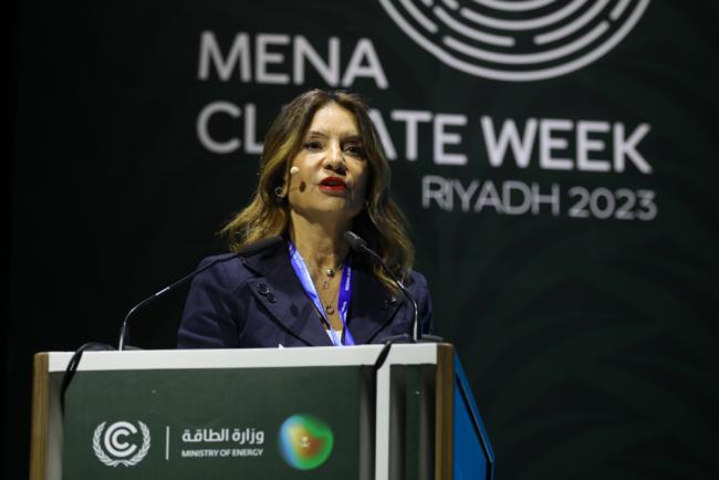 Michela Martini, Senior Regional Migration Health Specialist, IOM