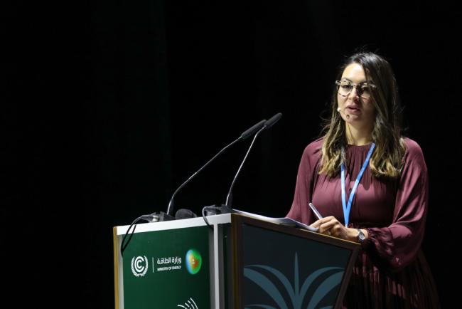 Mariam Allam, Co-Chair of UNFCCC Adaptation Committee