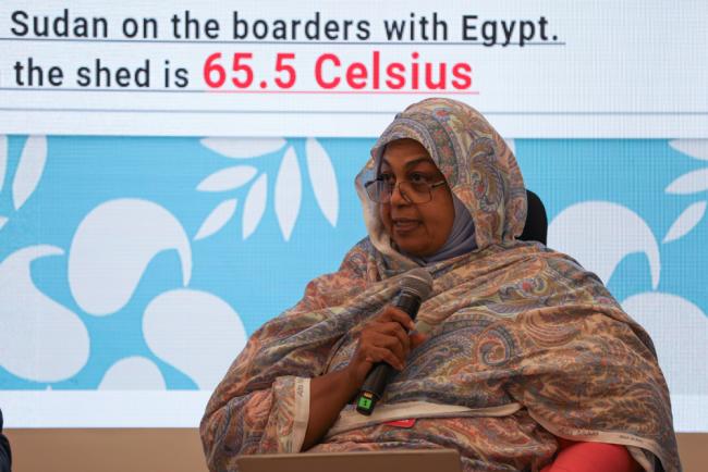 Shahira Wahbi, Chief, Sustainable Development and International Cooperation, League of Arab States