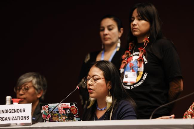 Indigenous Organisations statement 2- MinamataCOP5 - 31Oct2023 – Photo.jpg