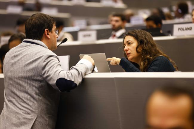 Italy- MinamataCOP5 - 31Oct2023 – Photo.jpg