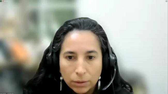 Laura Bermúdez, Council Member, Colombia
