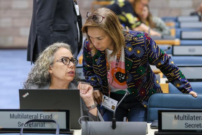 Rossana Silva Repetto and Cecilia Mercado, Multilateral Fund Secretariat