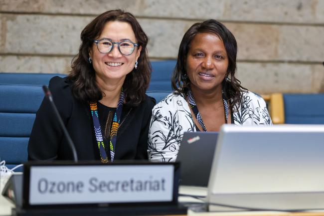 Liazzat Rabbiosi and Martha Mulumba, Ozone Secretariat