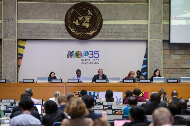 View of the dais during the plenary