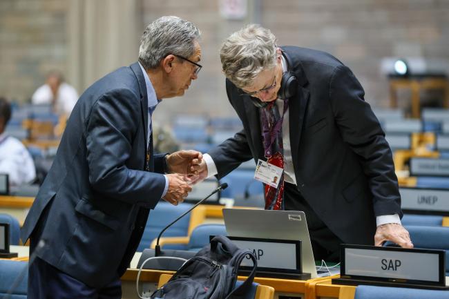 Marco Gonzalez, TEAP, with David Fahey, SAP Co-Chair