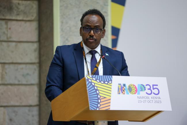 Adam Ohirsi, Minister of State for Environment and Climate Change, Somalia