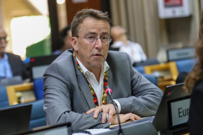 Cornelius Rhein, EU