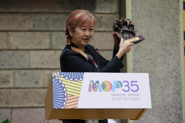 Megumi Seki, Executive Secretary, Ozone Secretariat, presenting an award for John Pyle, Co-Chair of the Scientific Assessment Panel