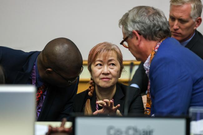 Megumi Seki, Executive Secretary, Ozone Secretariat, conferring with the MOP35 Co-Chairs