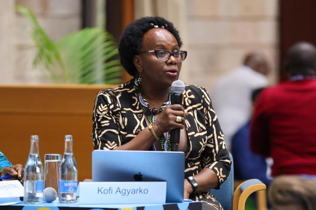 Patricia Kameri-Mbote, UNEP