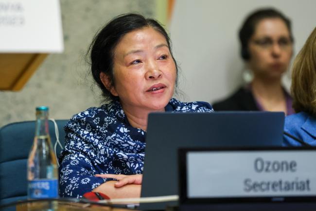 Shiqiu Zhang, Ozone Secretariat