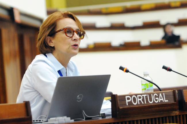Maria Luis Mendes, Portugal