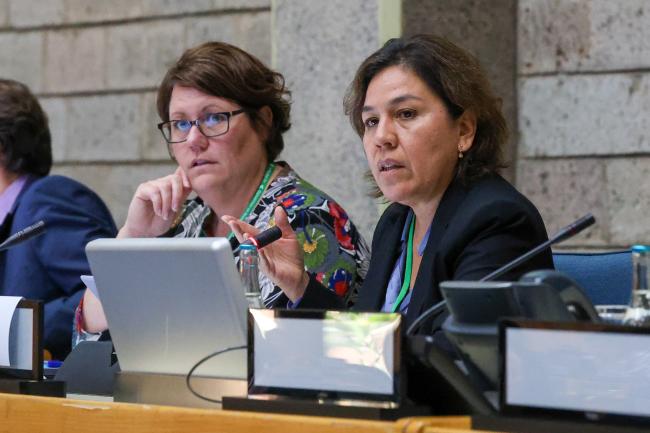 Contact Group on Biodiversity and Climate Change Co-Chairs Tia Stevens, Australia, and Mariela Cánepa Montalvo, Peru