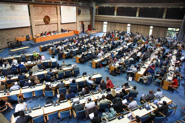 View of the room during the plenary