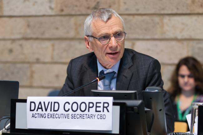 David Cooper, Acting Executive Secretary, CBD