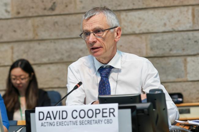 David Cooper, Acting Executive Secretary, CBD