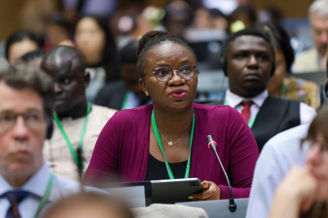 Egbuwalo Sikeade, Co-Chair of the intergovernmental consultations on Nature-based Solutions, Nigeria