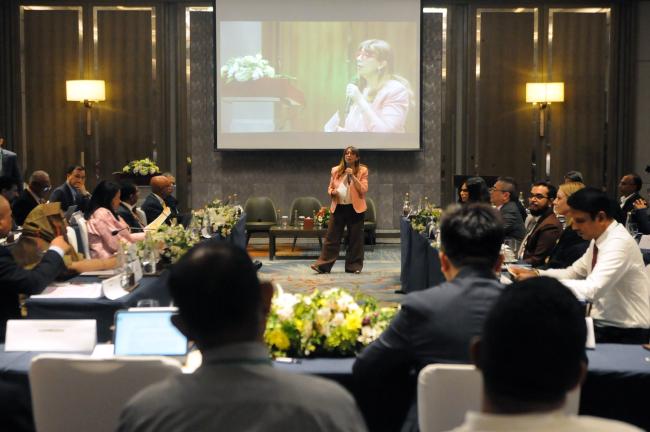 Shereen Zorba, Executive Secretary, UNSPBF, during the discussion