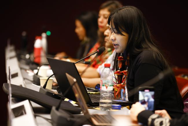 Taily De Faria Marcos Terena, International Indian Treaty Council- MinamataCOP5 - 30Oct2023 – Photo.jpg
