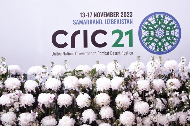 1- CRIC 21 - 13 Nov 2023 - Photo