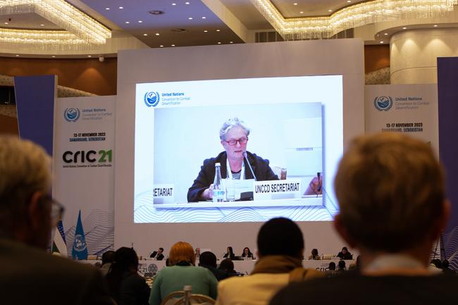 Afternoon Plenary - CRIC 21 - 15 Nov 2023 - Photo