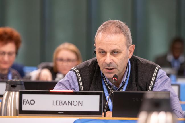 Ali Chehade, Lebanon