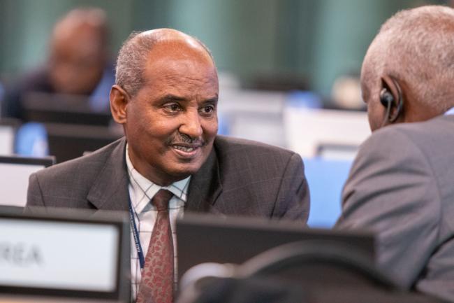 Amanuel Mahdere Zerezghi, Eritrea