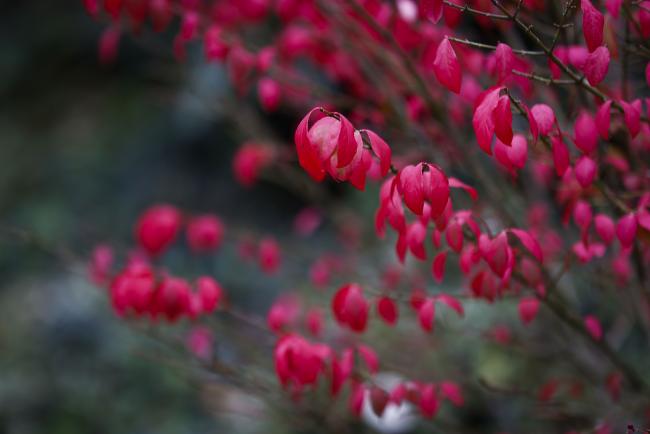 Autumn 3- MinamataCOP5 - 1Nov2023 – Photo.jpg
