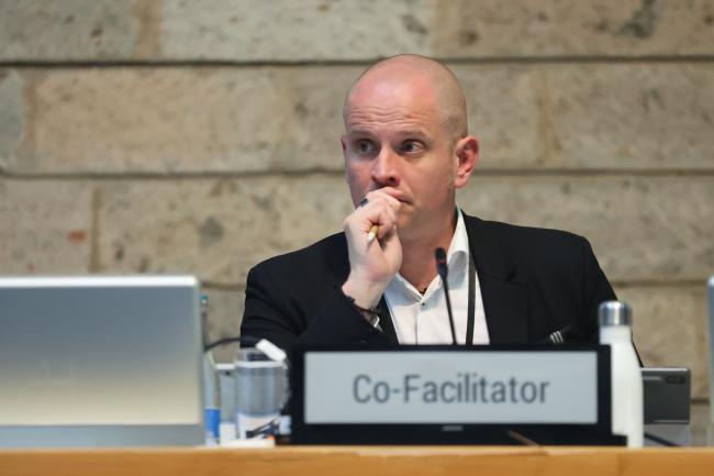 Axel Borchmann, Germany, Co-Facilitator of Contact Group 1