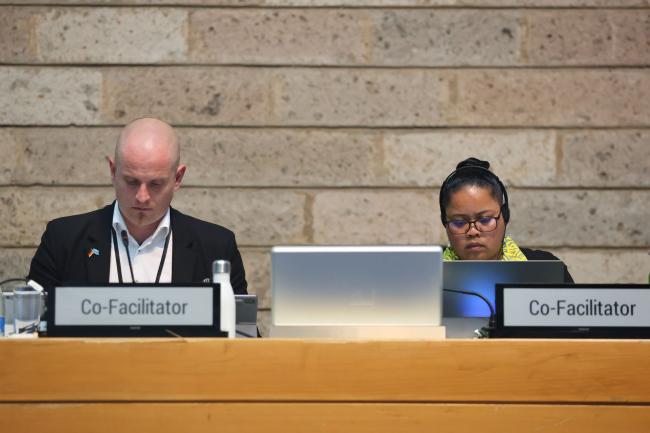 Axel Borchmann, Germany, and Gwendalyn Kingtaro Sisior, Palau, Co-Facilitators of Contact Group 1 