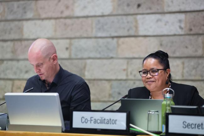 Axel Borchmann, Germany, and Gwendalyn Kingtaro Sisior, Palau, Co-Facilitators of Contact Group 1