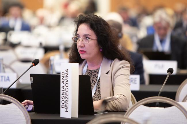 Bosnia and Herzegovina - CRIC 21 - 15 Nov 2023 - Photo