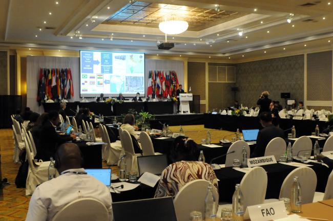 CFA committee delegates during Wednesday's discussions