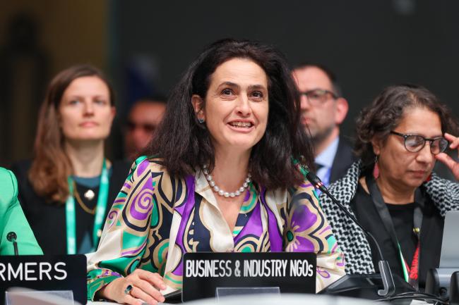 Ester Baiget, Business and Industry