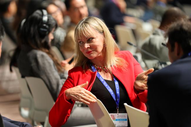 Jane Hupe, International Civil Aviation Organization (ICAO)