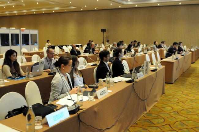 Delegates follow the Committee's proceedings