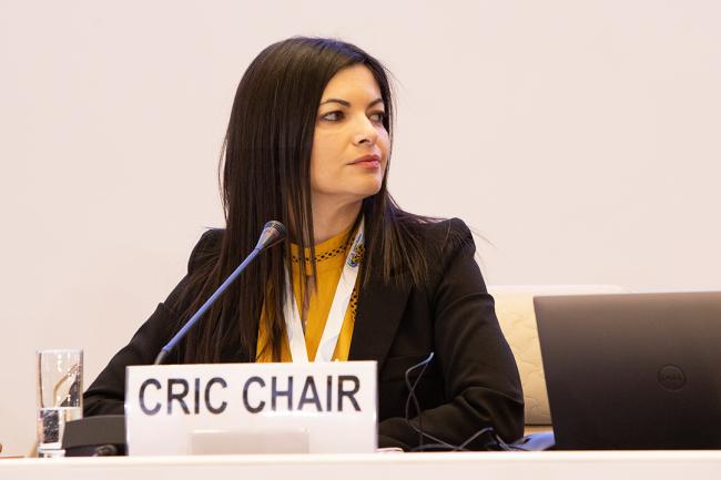 Chair - CRIC 21 - 16 Nov 2023 - Photo